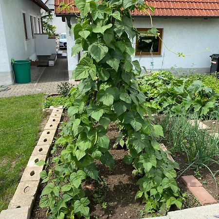 Ferienwohnung Eibenweg Gebsattel Exteriör bild